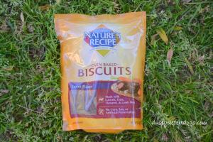 NATURE'S RECIPE® Biscuit Dog Treat