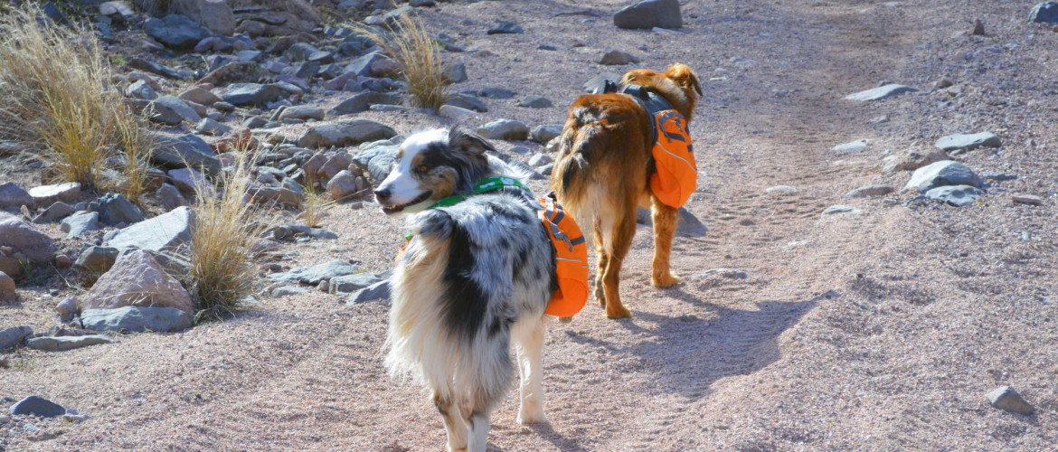 hiking with friends is a great way to  stay motivated threw out the year and reach your goals